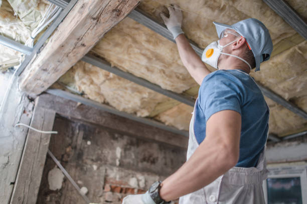 Professional Insulation Contractor in Amelia Court House, VA