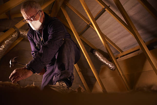 Best Commercial Insulation in Amelia Court House, VA